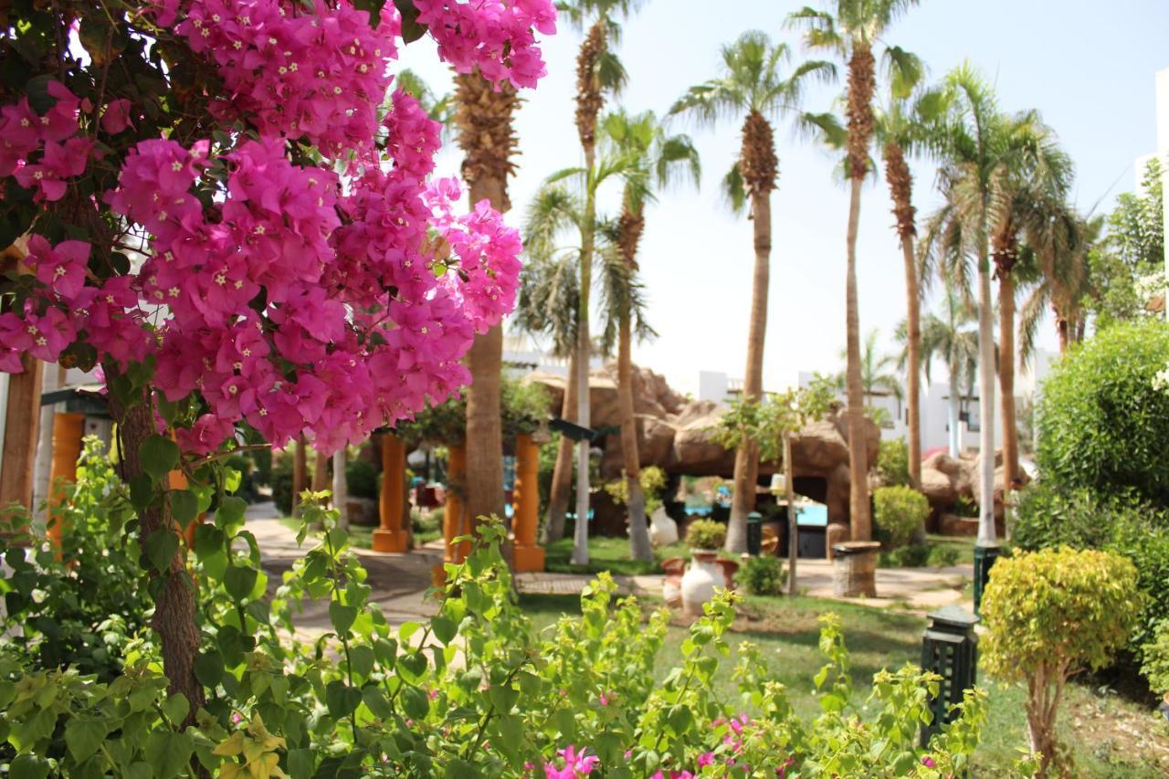 Herrmes Hospitality Sharm el-Sheikh Exterior photo